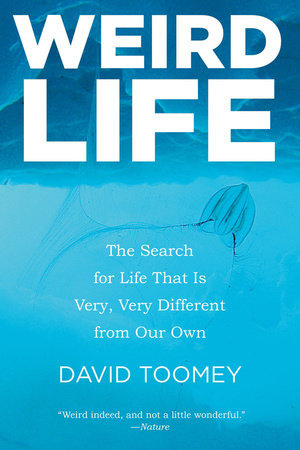 Weird Life Paperback by David Toomey