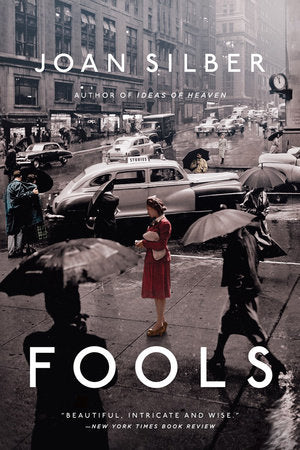 Fools Paperback by Joan Silber