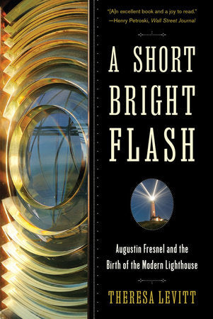 A Short Bright Flash TR by Theresa Levitt
