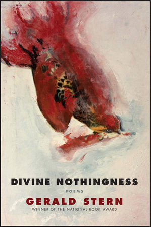 Divine Nothingness TR by Gerald Stern