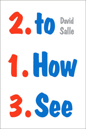 How to See Paperback by David Salle