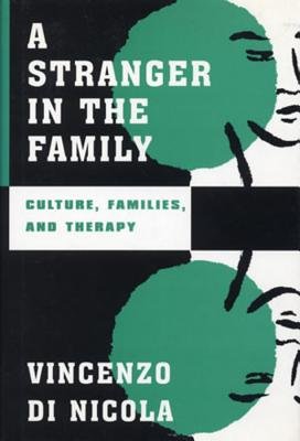 Stranger In The Family Hardcover by Vincenzo Dinicola