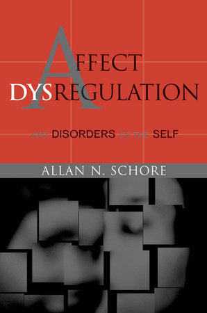 Affect Dysregulation and Disorders of the Self Hardcover by Allan N Schore