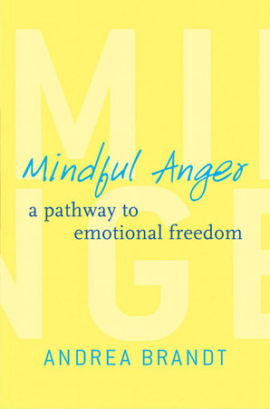 Mindful Anger Hardcover by Andrea Brandt