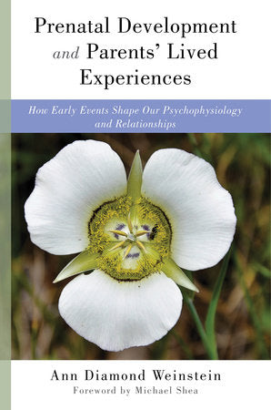 Prenatal Development and Parents' Lived Experiences Hardcover by Ann Diamond Weinstein
