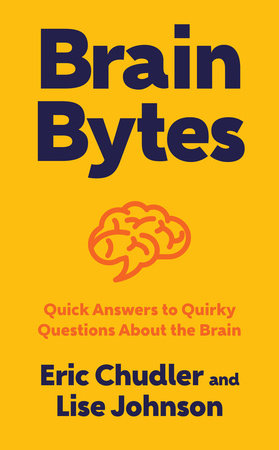 Brain Bytes Hardcover by Eric Chudler and Lise A Johnson