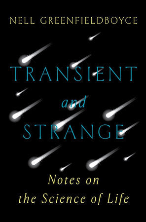 Transient and Strange Hardcover by Nell Greenfieldboyce