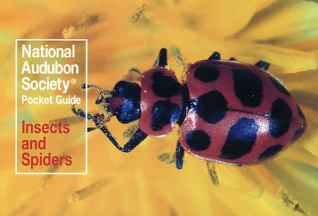 National Audubon Society Pocket Guide: Insects and Spiders Paperback by National Audubon Society