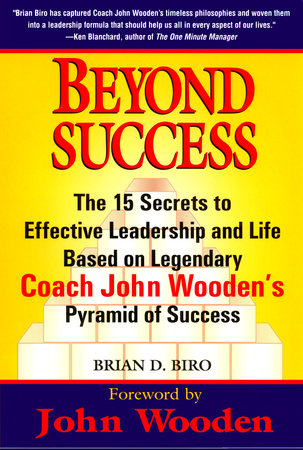 Beyond Success Paperback by Brian D. Biro