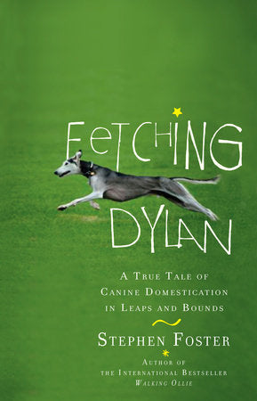 Fetching Dylan Paperback by Stephen Foster
