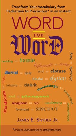 Word for Word Paperback by James E. Snyder Jr.