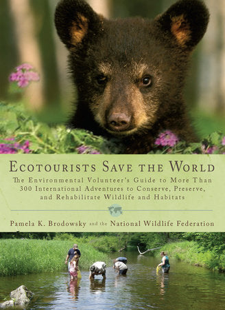 Ecotourists Save the World Paperback by Pamela K. Brodowsky