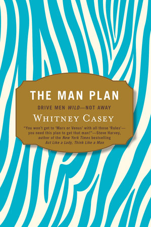 The Man Plan Paperback by Whitney Casey