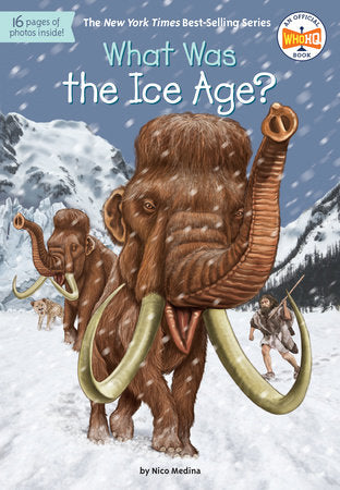 What Was the Ice Age? Paperback by Nico Medina; Illustrated by David Groff