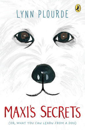Maxi's Secrets Paperback by Lynn Plourde