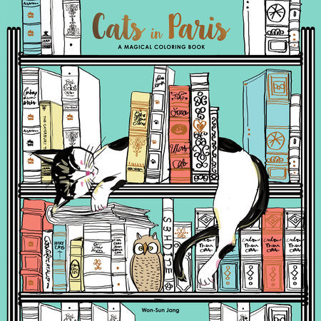 Cats in Paris Paperback by Won-Sun Jang