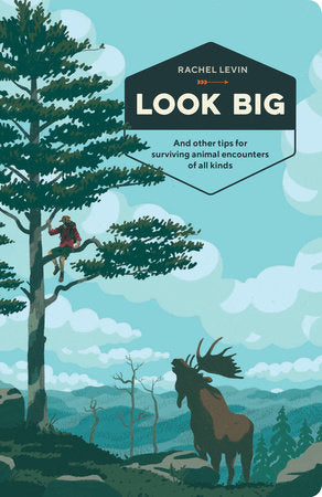 Look Big Paperback by Rachel Levin