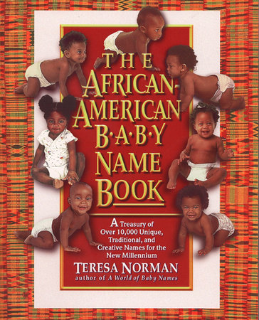The African-American Baby Name Book Paperback by Teresa Norman
