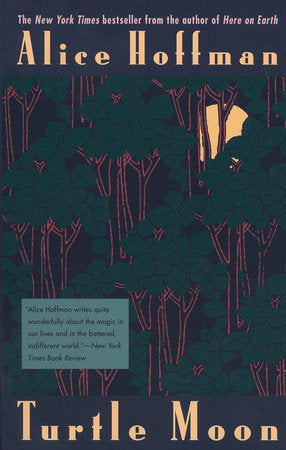 Turtle Moon Paperback by Alice Hoffman