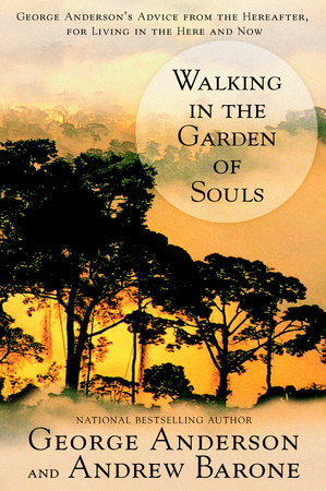 Walking in the Garden of Souls Paperback by George Anderson