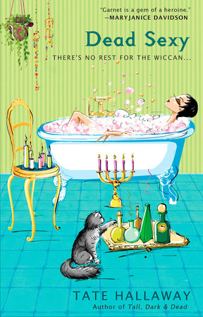 Dead Sexy Paperback by Tate Hallaway