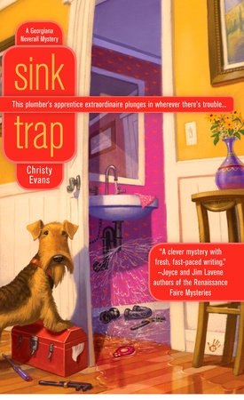 Sink Trap Paperback by Christy Evans