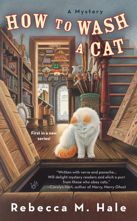 How to Wash a Cat Paperback by Rebecca M. Hale