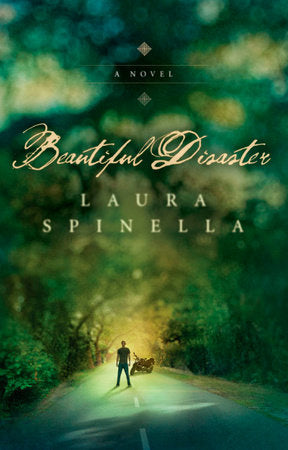 Beautiful Disaster Paperback by Laura Spinella