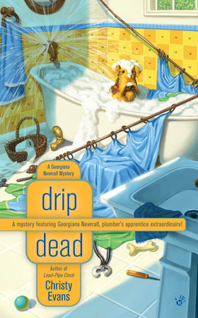 Drip Dead Paperback by Christy Evans