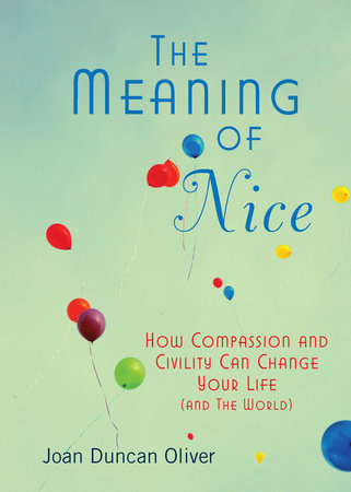 The Meaning of Nice Paperback by Joan Duncan Oliver