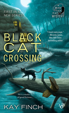 Black Cat Crossing Paperback by Kay Finch