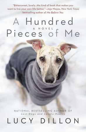 A Hundred Pieces of Me Paperback by Lucy Dillon
