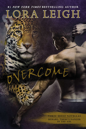 Overcome Paperback by Lora Leigh