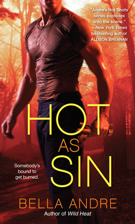 Hot as Sin Paperback by Bella Andre