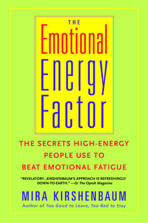 The Emotional Energy Factor Paperback by Mira Kirshenbaum