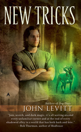 New Tricks Paperback by John Levitt