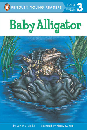 Baby Alligator Paperback by Ginjer L. Clarke; Illustrated by Neecy Twinem