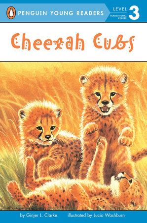 Cheetah Cubs Paperback by Ginjer L. Clarke; Illustrated by Lucia Washburn