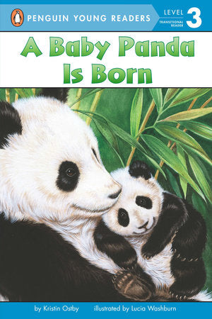 A Baby Panda Is Born Paperback by Kristin Ostby; Illustrated by Lucia Washburn