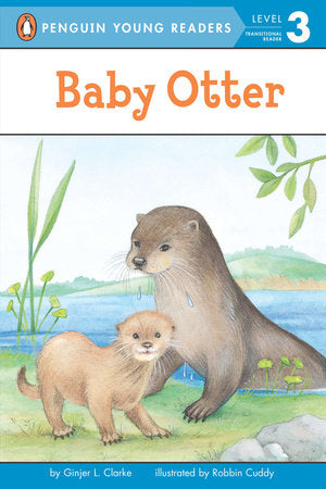 Baby Otter Paperback by Ginjer L. Clarke; Illustrated by Robin Cuddy