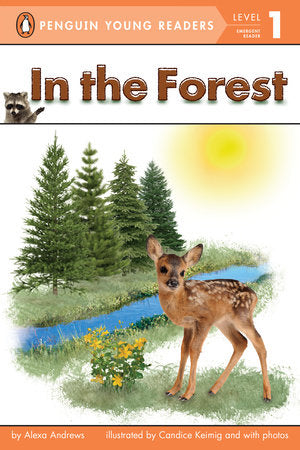 In the Forest Paperback by Alexa Andrews; Illustrated by Candice Keimig