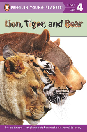Lion, Tiger, and Bear Paperback by Kate Ritchey
