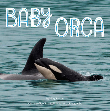 Baby Orca Paperback by Mary Batten