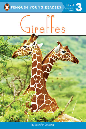 Giraffes Paperback by Jennifer Dussling