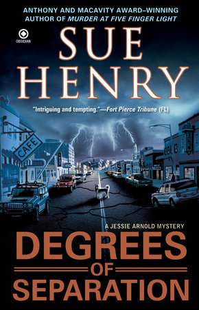 Degrees of Separation Paperback by Sue Henry