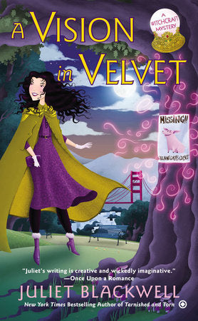 A Vision in Velvet Paperback by Juliet Blackwell