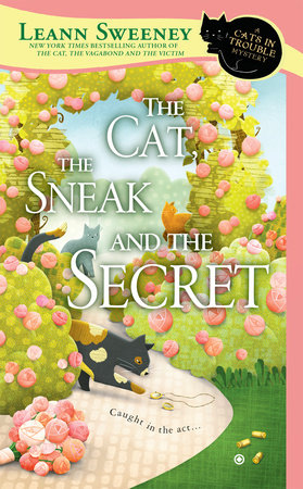 The Cat, the Sneak and the Secret Paperback by Leann Sweeney