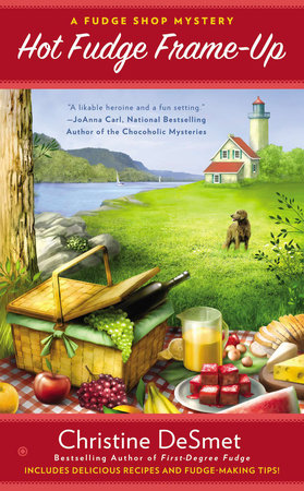 Hot Fudge Frame-Up Paperback by Christine DeSmet