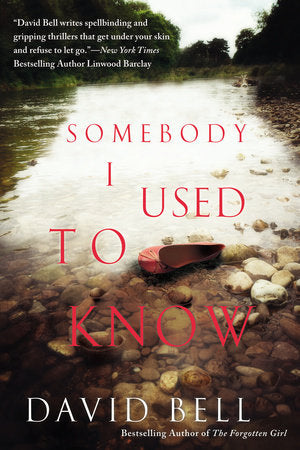 Somebody I Used to Know Paperback by David Bell