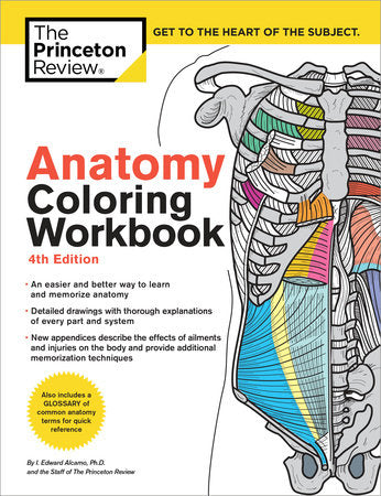 Anatomy Coloring Workbook, 4th Edition Paperback by The Princeton Review and Edward Alcamo